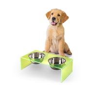 THE LICKER STORE DBL2000G Keaton 5" Small/Medium Modern Acrylic Rectangular Elevated Pet Feeder with 20oz 2-Stainless Steel Bowls, Green/Chrome