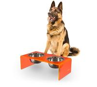 THE LICKER STORE DBL2001E Keaton 7.5" Medium/Large Modern Acrylic Rectangular Elevated Pet Feeder with 54oz 2-Stainless Steel Bowls, Pink/Chrome