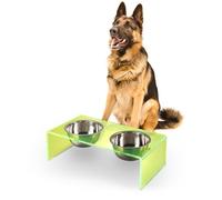 THE LICKER STORE DBL2001G Keaton 7.5" Medium/Large Modern Acrylic Rectangular Elevated Pet Feeder with 54oz 2-Stainless Steel Bowls, Green/Chrome