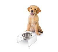 THE LICKER STORE DBL2002A Keaton 5" Small/Medium Modern Acrylic Rectangular Elevated Pet Feeder with 20oz 1-Stainless Steel Bowl, Clear/Chrome