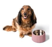 The LICKER Store DBL3001A Ripple Ridge Small/Medium Slanted Concrete and Stainless Steel Bowl 16oz (2 Cups) Pet Feeder, Pink