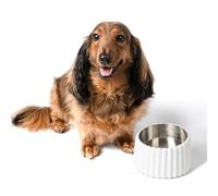 The LICKER Store DBL3001B Ripple Ridge Small/Medium Slanted Concrete and Stainless Steel Bowl 16oz (2 Cups) Pet Feeder, White