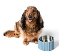 The LICKER Store DBL3001C Ripple Ridge Small/Medium Slanted Concrete and Stainless Steel Bowl 16oz (2 Cups) Pet Feeder, Blue