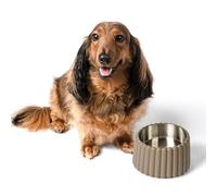 The LICKER Store DBL3001D Ripple Ridge Small/Medium Slanted Concrete and Stainless Steel Bowl 16oz (2 Cups) Pet Feeder, Brown