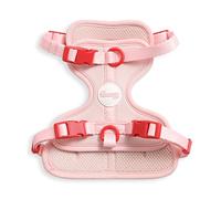 THE LICKER STORE HNS1001G Arlo Small Adjustable Soft Padded No Pull Pet Harness with 3 Buckles and 3 Leash Clips, Paloma