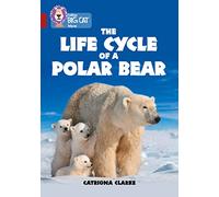 The Life Cycle of a Polar Bear: Band 14/Ruby (Collins Big Cat)