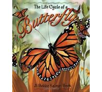 The Life Cycle of the Butterfly