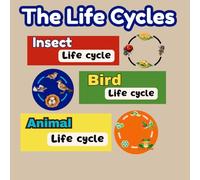 The Life Cycles
