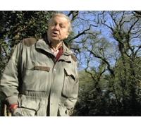 The Life of Birds - Episode 6