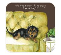 The Life Of Riley Wire-Haired Dachshund Little Dog Laughed Coaster Gift