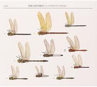 The Liftmen - Luftwaffe Pond