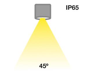 The Light Group SLC MiniOne Fixed LED downlight IP65 white 927