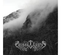 The Light That Dwells in Rotten Wood [VINYL]