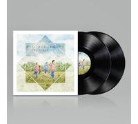 Big Big Train The likes of us LP multicolor Onesize