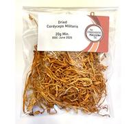 The Lincolnshire Mushroom Co. Real Whole Dried Cordyceps Mushrooms, Cordyceps Militaris, 20g