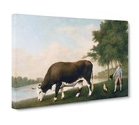 The Lincolnshire Ox By George Stubbs Canvas Print | Gallery Wrapped 30mm Frame Wall Art | 20x14 inches | Ready to Hang | Classic Picture | Living Room Bedroom Lounge Office