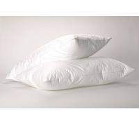 The Linen Consultancy Tlc 5 Star Hotel Concept Premium Goose Feather & Down Pillow In White White