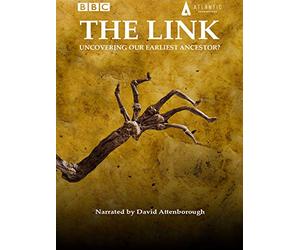 The Link: Uncovering our Earliest Ancestor?