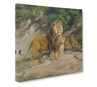The Lion King by Rosa Bonheur Canvas Print | Gallery Wrapped 30mm Frame Wall Art | 14x14 inches | Ready to Hang | Modern Animals Picture | Living Room Bedroom Lounge Office