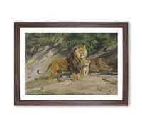 The Lion King by Rosa Bonheur Framed Print | A2 Walnut Framed Wall Art | Ready to Hang | Modern Animal Picture | Living Room Bedroom Lounge Office