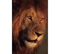 The Lion That Wouldn't Die: The David Walker Story