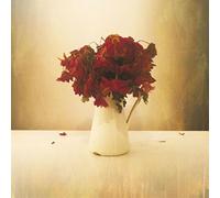 The Lion & the Wolf - The Cardiac Hotel - CD / Album