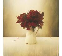 The Lion & The Wolf - The Cardiac Hotel [VINYL]