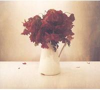 The Lion & The Wolf - The Cardiac Hotel [VINYL]