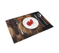The Lion's Gaze Patterned Placemats Set of 4 (12 * 18 inches) - High-Value Home Table mats