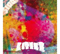 The Litter - $100 Fine [VINYL]