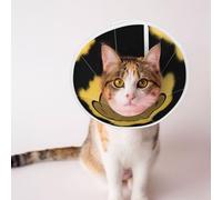 The Little Bear in The Gold Powder Elizabeth Circle Pet Cone Cat Neck Adjustable Dog Pet Ring Accessory