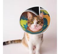 The Little Bear On The Planet Elizabeth Circle Pet Cone Cat Neck Adjustable Dog Pet Ring Accessory