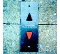 The Little Creatures Unit - Brand New Single [Tba]