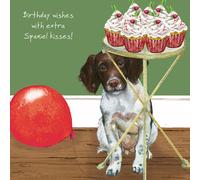 Spaniel Birthday Kisses Little Dog Laughed Birthday Greeting Card Blank Inside SQDB03
