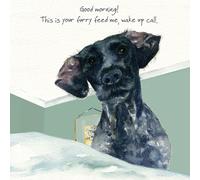 The Little Dog Laughed 'Wake Up Call' Digs & Manor Card