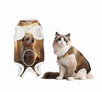 The Little Dog Standing on The Grass Under The Sunset Dog Surgery Suit Recovery Suit, 100% Cotton Breathable Full Body Dog & Cat Surgical Suit with Cute Prints, Male & Female Pets Large
