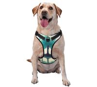 The Little Girl by The River. Dog Harness for Small, Medium, and Large Dogs â€“ Reflective Straps, Adjustable Fit with Quick-Release Buckles