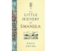 The Little History of Swansea