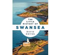 The Little History of Swansea