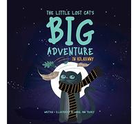 The Little Lost Cat's Big Adventure in Kilkenny