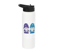 the Little Voices in My Head Keep Telling me get More Gnomes Stainless Steel Insulated Water Bottle
