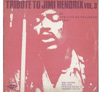 The Live Experience Band - Live Experience Band - Tribute To Jimi Hendrix Vol 3 [LP]