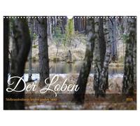 The Loben. In the realm of moor spirits and adders - southern Brandenburg's last great moor UK-Version (Wall Calendar 2026 DIN A3 Landscape), CALVENDO 12 Month Wall Calendar