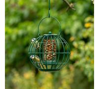 The London Squirrel Resistant Peanut Feeder - Garden Birds