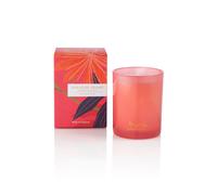 The London Wax Company Paradise Found 1 Wick Candle 227g The London Wax Company Multicolor