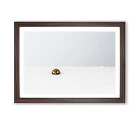 The Lone Ladybird Framed Print | A2 Walnut Framed Wall Art | Ready to Hang | Modern Nature Picture | Living Room Bedroom Lounge Office