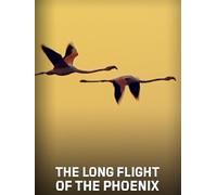 The Long Flight of the Phoenix