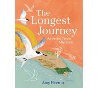 The Longest Journey: An Arctic Tern's Migration