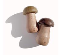 The Loquat Tree Cottage Core Mushroom Salt & Pepper Shaker Set - Tiny Wooden Mushroom Shaped Shakers