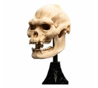The Lord of the Rings Skull of Lurtz Polystone Statue - Weta Workshop